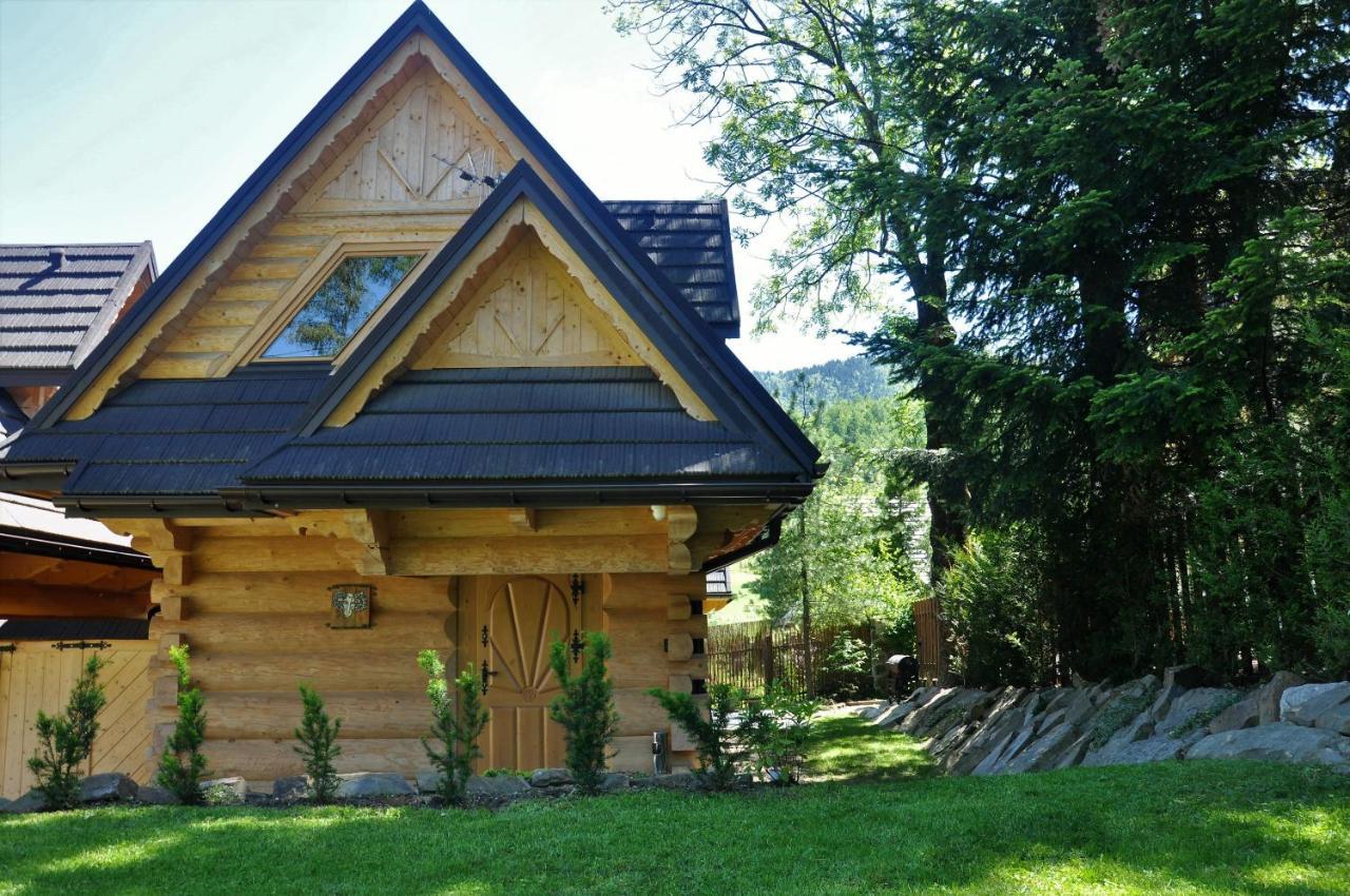 Baran, Domek Z Widokiem Na Giewont ザコパネ エクステリア 写真